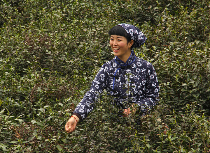 舂梦推荐2